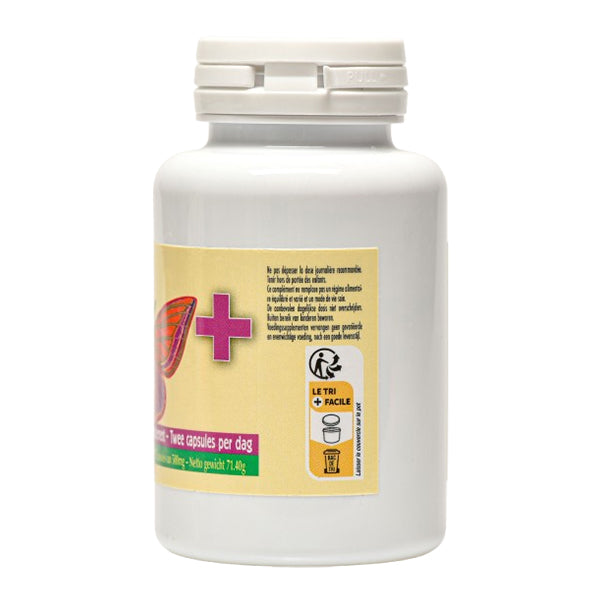 Tyro Plus Jade Recherche 