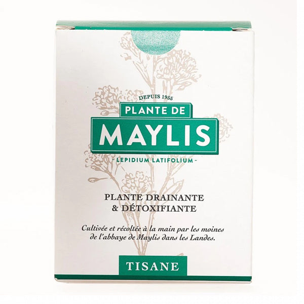 Plante de Maylis Tisane